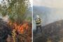 Peste 10 ore de luptă cu flăcările și 130 de hectare mistuite de un singur incendiu. O fermă cu peste 200 de caprine, în calea focului