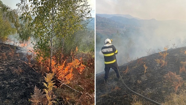 Peste 10 ore de luptă cu flăcările și 130 de hectare mistuite de un singur incendiu. O fermă cu peste 200 de caprine, în calea focului 1 Peste 10 ore de luptă cu flăcările și 130 de hectare mistuite de un singur incendiu. O fermă cu peste 200 de caprine, în calea focului