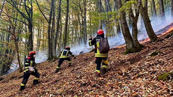 Peste 140 de oameni, mobilizați în Parcul Naţional Domogled. Focul continuă să ardă 1 Peste 140 de oameni, mobilizați în Parcul Naţional Domogled. Focul continuă să ardă