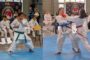 Sânandrei, gazda naționalului de karate WKC