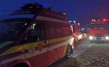 Accident mortal pe un drum forestier din județul Timiș 5 Accident mortal pe un drum forestier din județul Timiș