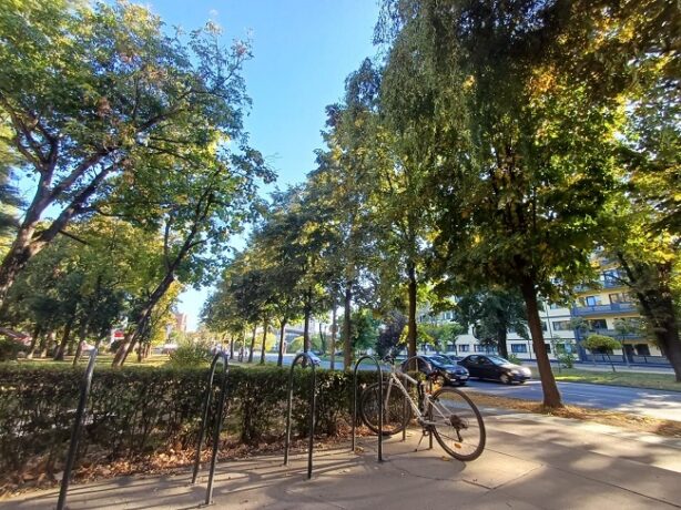 Temperaturi peste normal în toată țara. Prognoza ANM pentru următoarele patru săptămâni