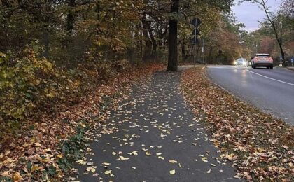 Vremea se încălzește la mijlocul săptămânii viitoare. Vor fi 25 de grade în Banat 11 Vremea se încălzește la mijlocul săptămânii viitoare. Vor fi 25 de grade în Banat