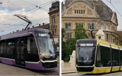 Alin Popoviciu: Mijloacele de transport în comun din Timișoara trebuie să revină la culorile simbol ale oraşului - alb și violet 24 Alin Popoviciu: Mijloacele de transport în comun din Timișoara trebuie să revină la culorile simbol ale oraşului - alb și violet