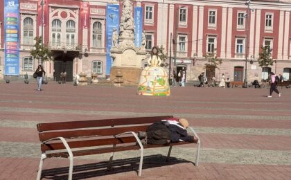 Dacă e marți, e… liber la Poliția Locală Timişoara 8 Dacă e marți, e… liber la Poliția Locală Timişoara