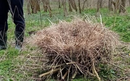 120 de cuiburi artificiale pentru păsări, montate în Administrația Parcului Natural Lunca Mureșului