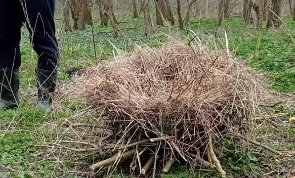 120 de cuiburi artificiale pentru păsări, montate în Administrația Parcului Natural Lunca Mureșului