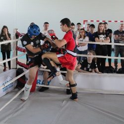 Cupa MaxFight Izvin kick boxing 07