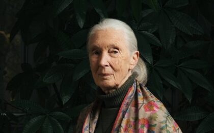 Jane Goodall, pioniera studiului cimpanzeilor, a murit la 91 de ani