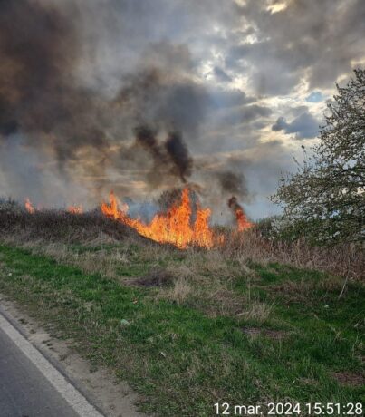Incendii pe hectare întregi, în Timiș. A fost emis mesaj RO-Alert