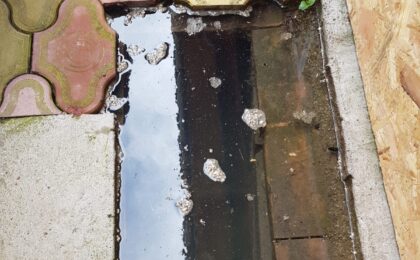 La un pas de o mare tragedie în Timiș 8 La un pas de o mare tragedie în Timiș