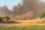 Cinci hectare de grâu, cuprinse de flăcări