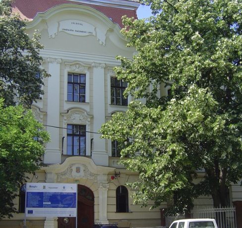 Patru elevi de la Colegiul Național "C.D. Loga" Timișoara au fost confirmați cu Norovirus