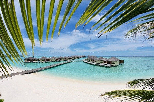 Maldive 1