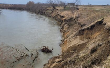 Intervenție pe râul Timiș, pentru a opri eroziunea de mal