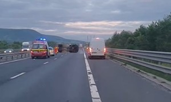 Baxuri cu carne, împrăștiate pe A1, în vestul țării