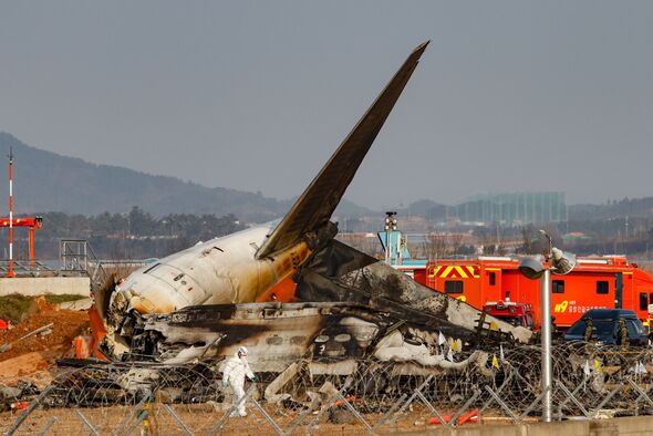 Cel mai grav accident aviatic din Coreea de Sud. Raportul preliminar arată că avionul a lovit păsări