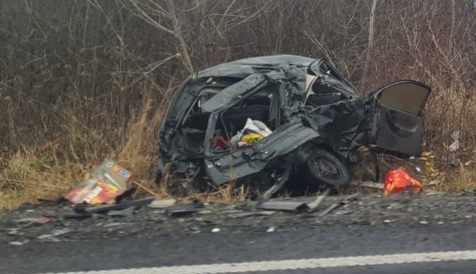 Un șofer bulgar a fost reținut în urma accidentului în care două femei au murit, pe o șosea din Banat