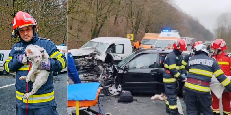 Accident extrem de grav: şoferi blocaţi, trei pisici au fost salvate dintr-o maşină (video)