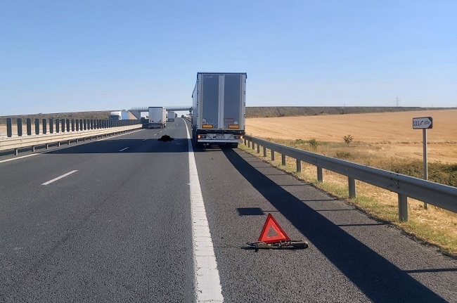 Accident mortal pe autostrada A1, între Arad și Timișoara. Șofer spulberat de o mașină