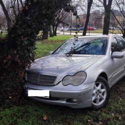 S-a oprit cu maşina într-un pom dintr-un parc, în centrul Timişoarei (foto)