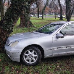 S-a oprit cu maşina într-un pom dintr-un parc, în centrul Timişoarei (foto)