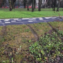 S-a oprit cu maşina într-un pom dintr-un parc, în centrul Timişoarei (foto)