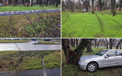 S-a oprit cu maşina într-un pom dintr-un parc, în centrul Timişoarei (foto)