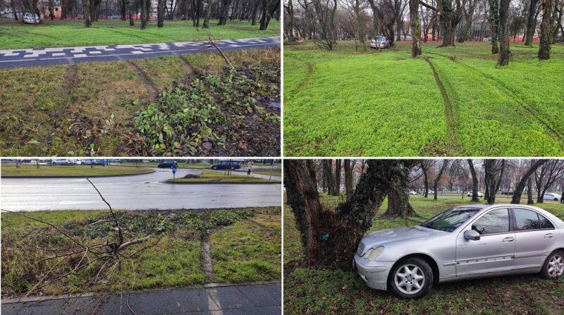 S-a oprit cu maşina într-un pom dintr-un parc, în centrul Timişoarei (foto)