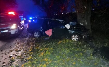 Polițiștii au stabilit cum s-a produs tragicul accident de lângă Timișoara