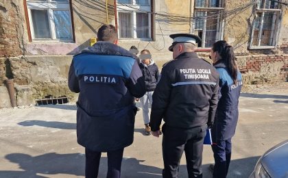 Câinii periculoși și cei fără stăpâni, în atenția Poliției Locale Timișoara