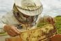 APIA primește Cereri de plată pentru intervenţiile aferente sectorului apicol