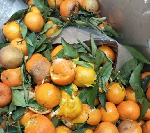 Controale ANPC: Produse alimentare expirate, mucegai și murdărie în magazine