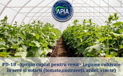 Subvenția APIA pentru pentru micii fermieri cultivatori de legume