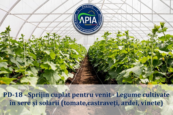 Subvenția APIA pentru pentru micii fermieri cultivatori de legume