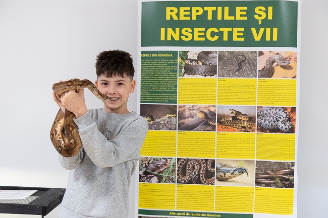 Un băiat de 11 ani din Arad colecţionează şerpi, tarantule şi scorpioni. Le procură hrana de la o firmă specializată din Timişoara
