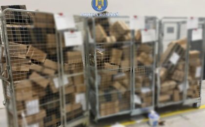 Peste 1,5 tone de articole pirotehnice, confiscate de polițiști lângă Timișoara