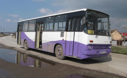 autobuz 5