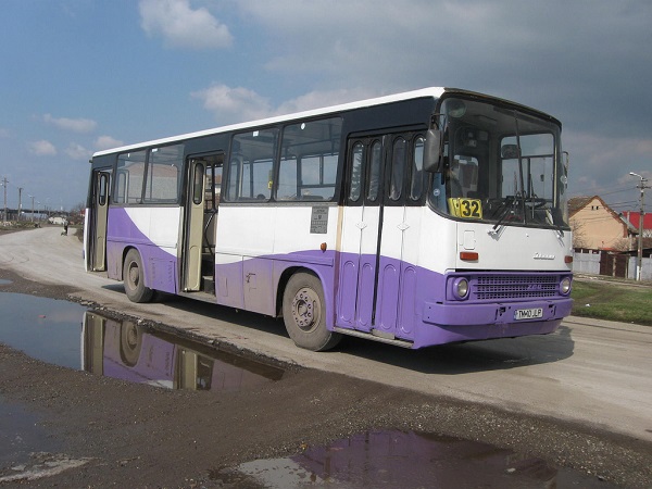 autobuz 5