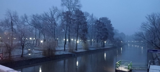 La Timișoara a căzut prima ninsoare din această iarnă