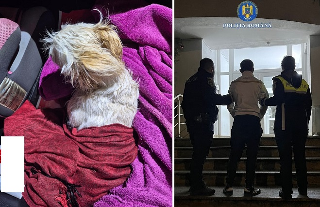 Căţeluşă aruncată de la etaj, de către un nemernic, după o ceartă cu soţia. Făptaşul fost reţinut de poliţişti