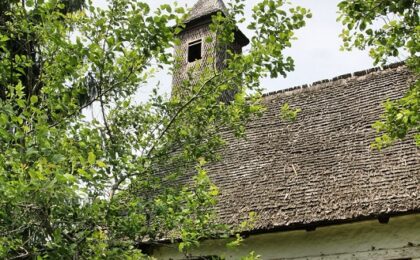 Patrimoniul cultural din lemn, temă de reflecţie