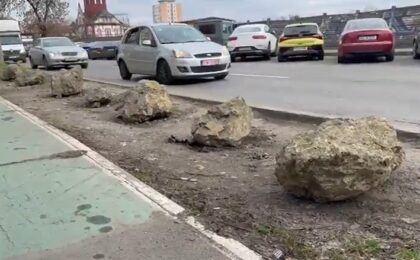 Timișoara, orașul unde spațiul verde crește prin plantații de... bolovani (video)
