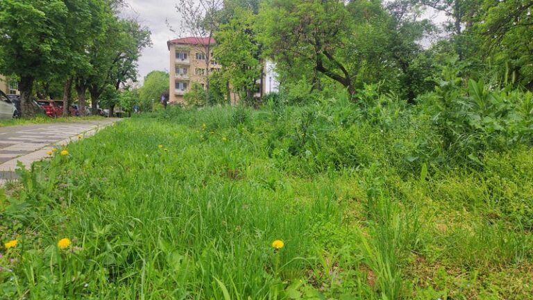 Dominic Fritz: "Delăsare completă din partea celor care au în grijă spațiul verde"