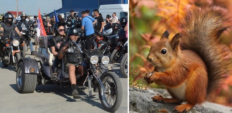 Agenda culturală ca investiție în turism