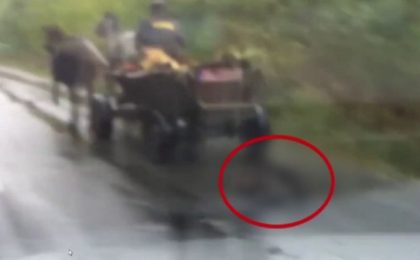 Un cărășean și-a târât câinii pe șosea, legați de căruță