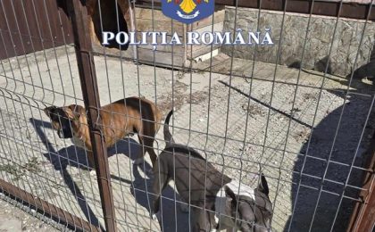 Poliţiştii timişeni, în vizită la deţinătorii de câini periculoşi