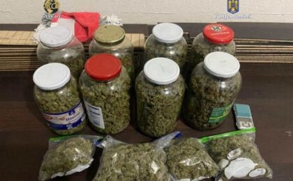 Percheziţii în Timiş: poliţiştii au descoperit peste 50 de kilograme de cannabis şi 40 de plante. Video