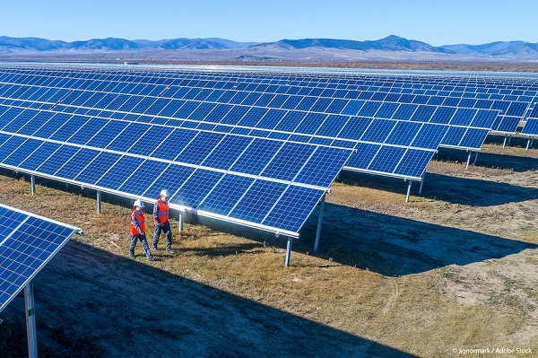 Primăria Timișoara vrea să realizeze un parc fotovoltaic de 5,6 MW