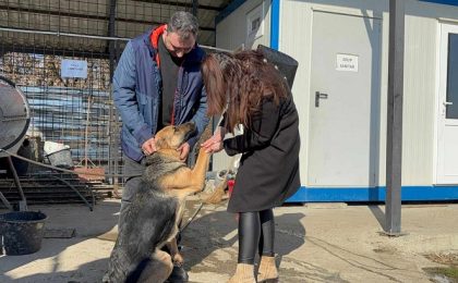 O cățelușă rătăcită de Crăciun şi-a regăsit familia prin implicarea unor polițiști și a oamenilor de bine (video)